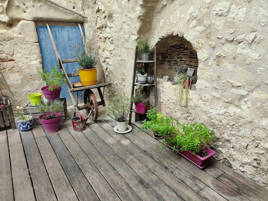 Superbe Maison De Caractere, De 1 A 9 Couchages سانت ميور دو تورين المظهر الخارجي الصورة